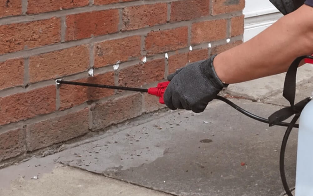 Rising Damp DPC injection
