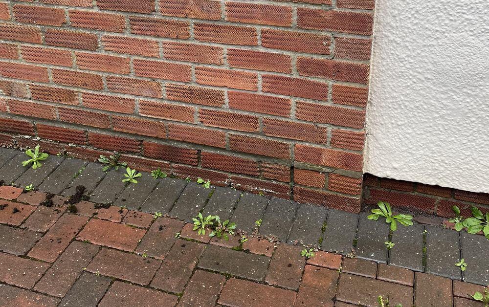 Rising Damp